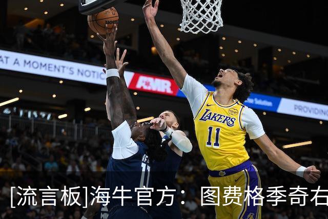 [流言板]海牛官方：图费格季奇右肩锁关节完全脱位，预计伤缺5-7周